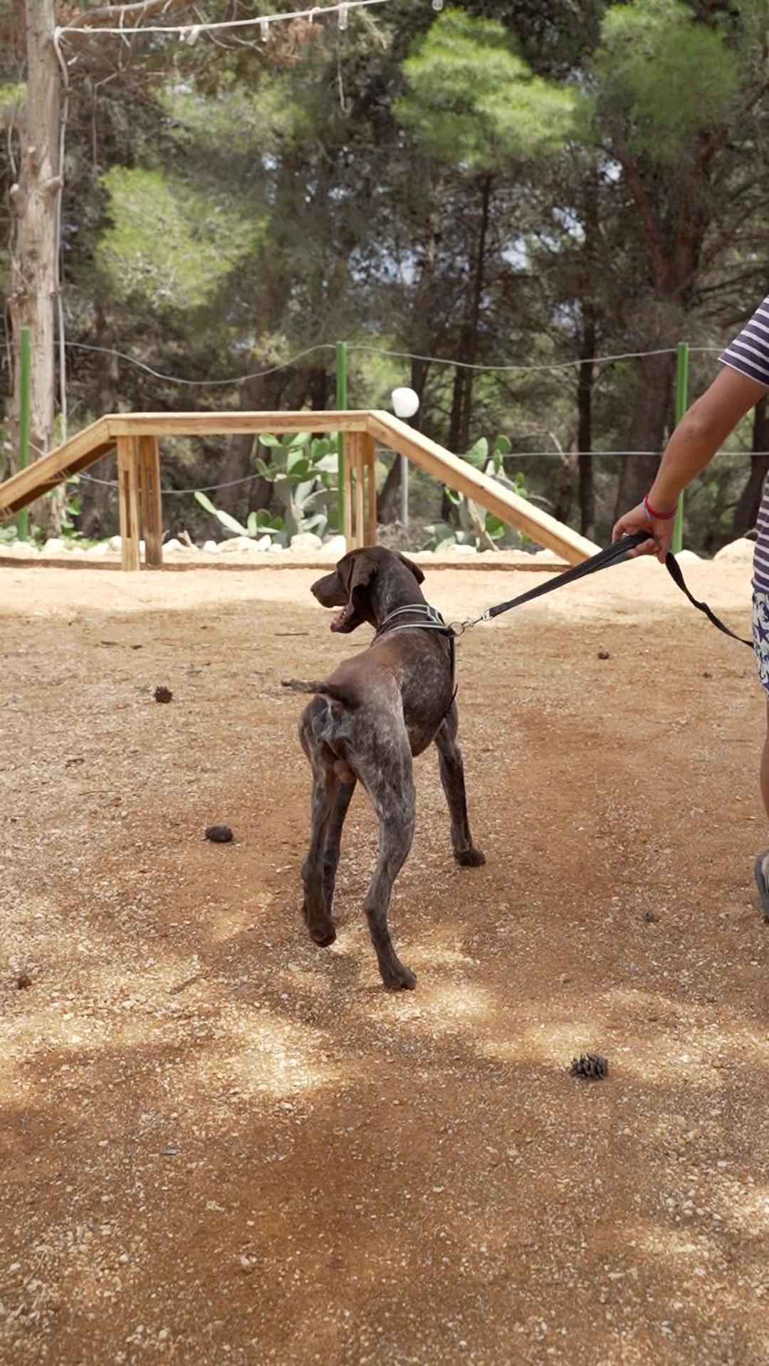 סנטה צזריה טרמה Camping La Scogliera מראה חיצוני תמונה